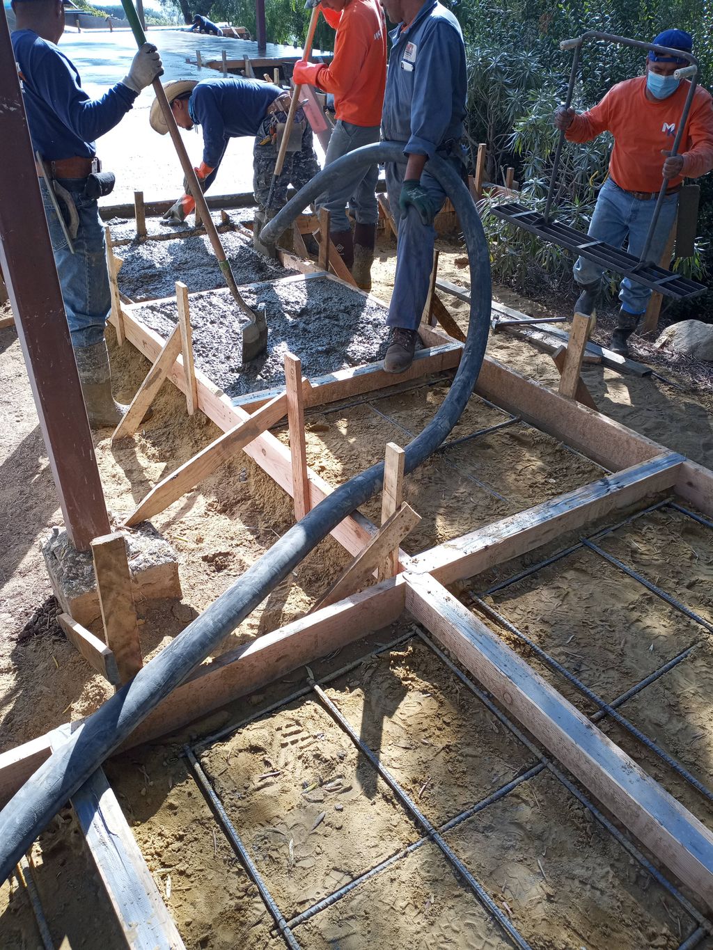 Projects and media