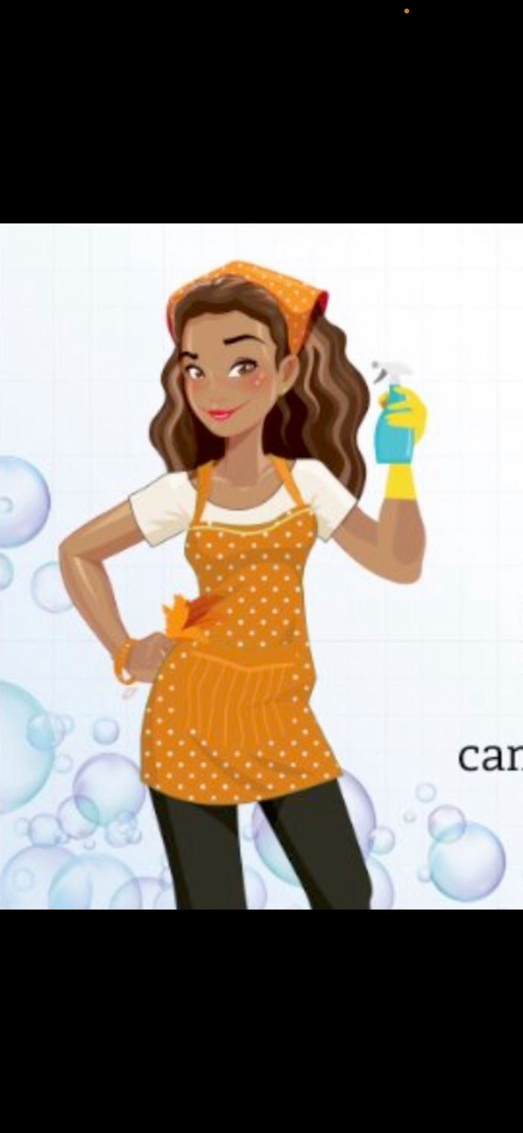 The 10 Best House Cleaning Services in Tampa, FL 2021