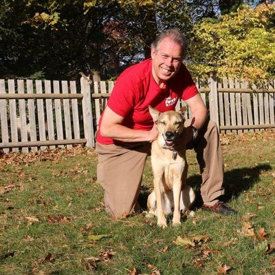 Avatar for Fetch! Pet Care of Greater Boston