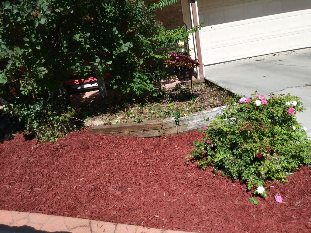 CNA TREE AND LANDSCAPING PROFESSIONALS