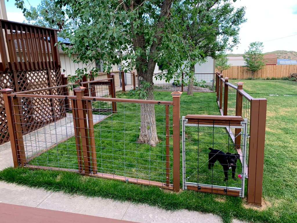 Enclosure for dog-dog intros.