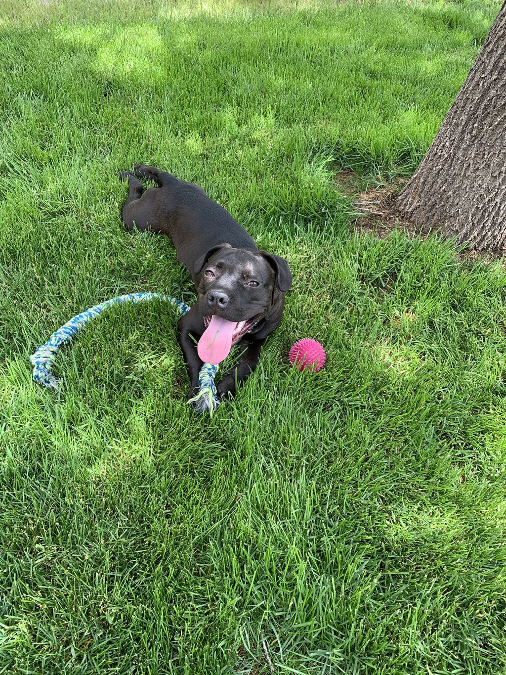 Happy, Happy, Happy!