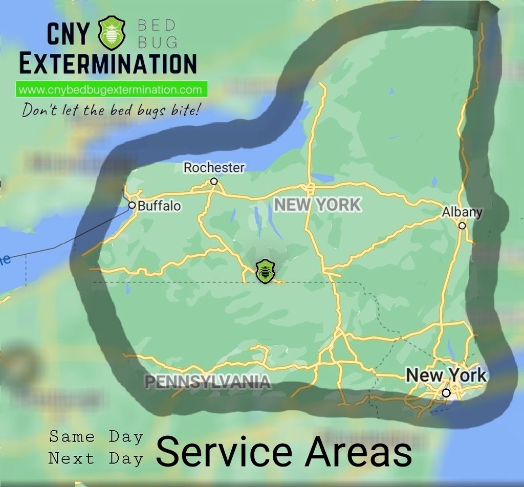 Our Service Area