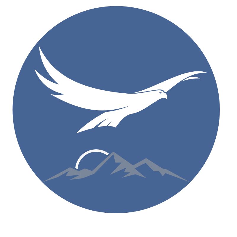 Fly Right Marketing Group - Favicon