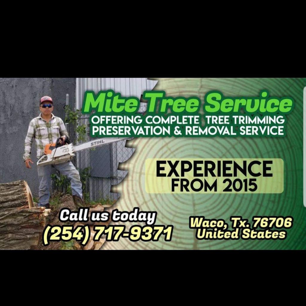 Mite tree services