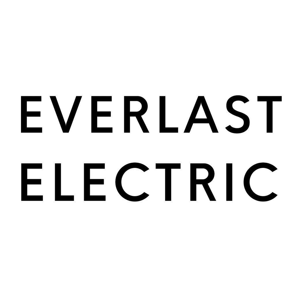 Everlast Electric