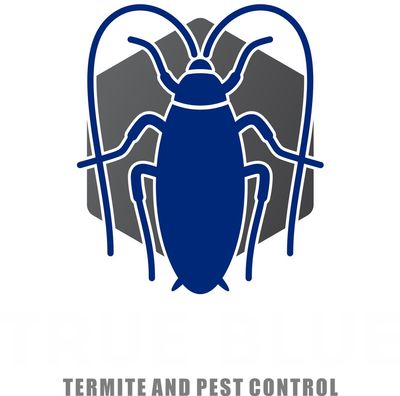Avatar for True Blue Termite and Pest Control