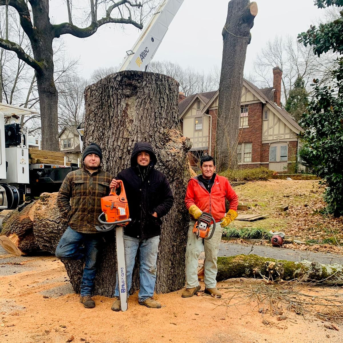 World Tree Services Memphis, TN Thumbtack