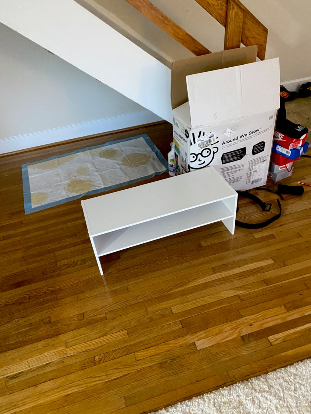 Projects and media