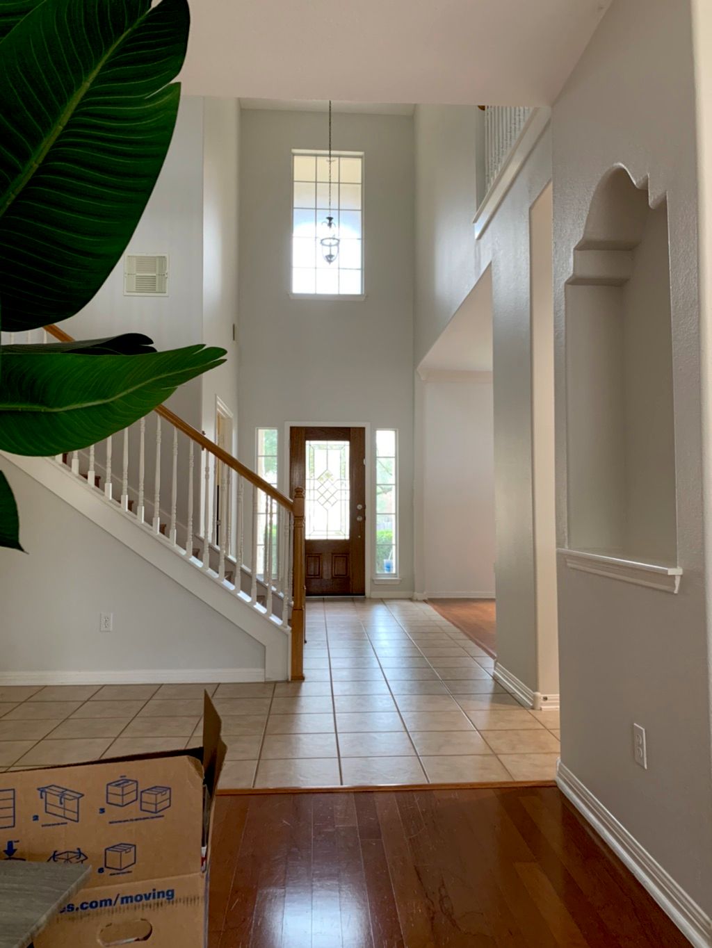 Customer photos
