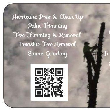 Tree Dimensional LLC