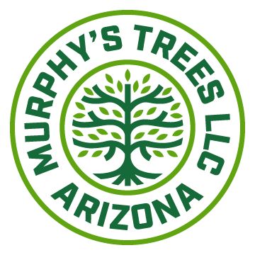 Murphy's Trees LLC