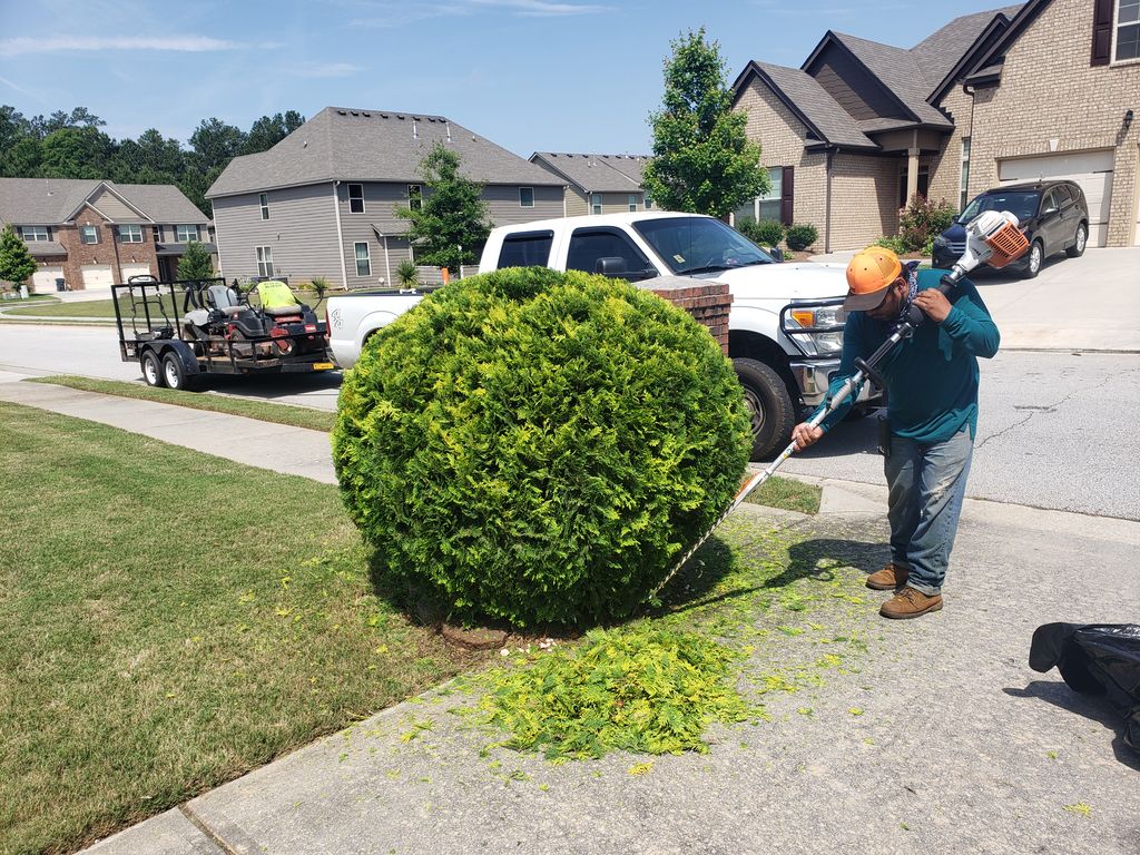Jose Landscaping