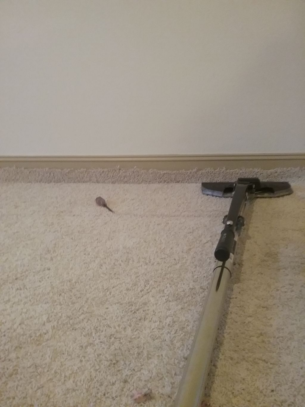 Carpet Repair or Partial Replacement