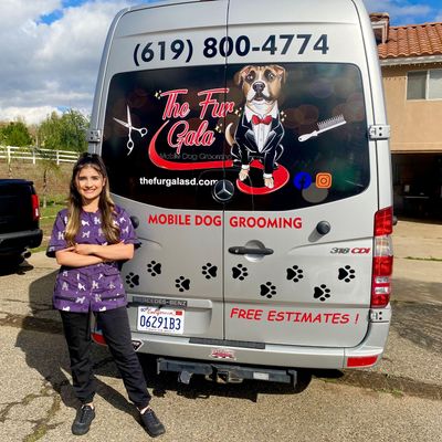 The 10 Best Mobile Dog Groomers In Poway Ca With Free Estimates