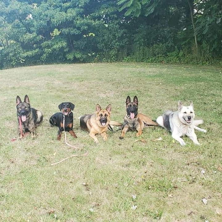 K9 Pawsibilities LLC