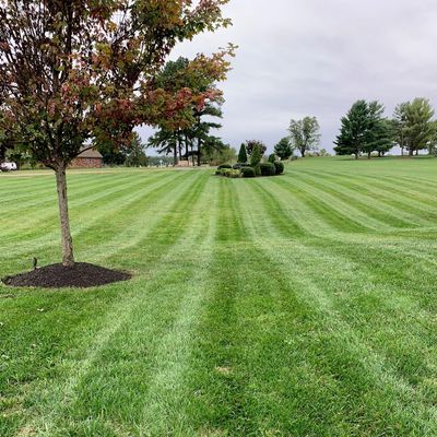 Avatar for Freedom Lawn & Landscape