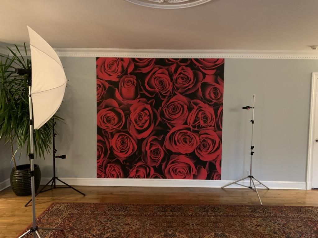 Valentine's Day Event Wall Mural