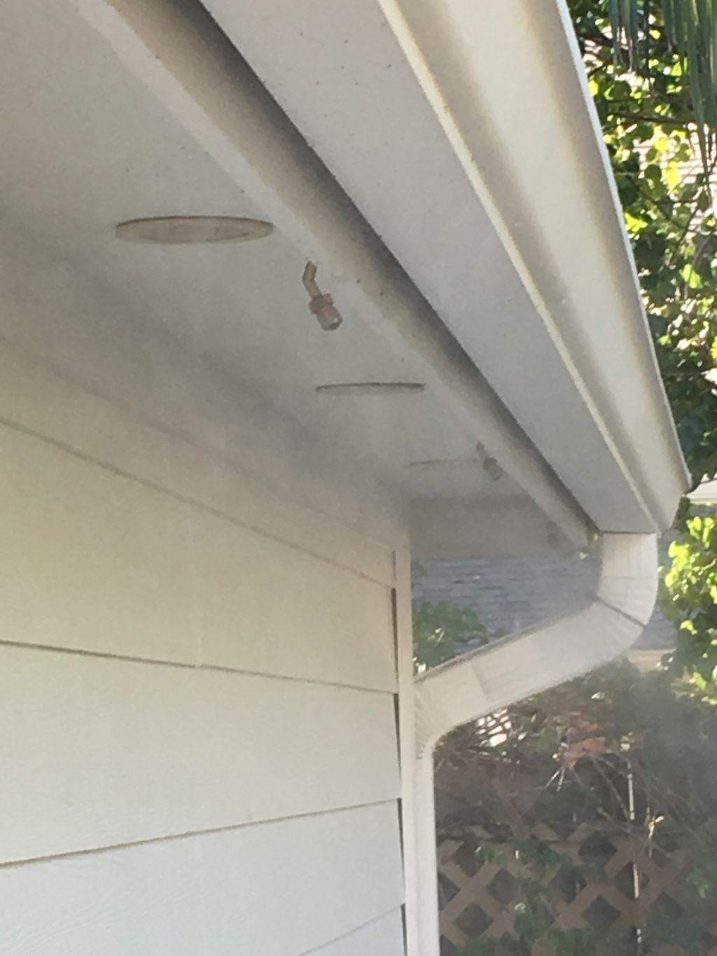 Mosquito Misting