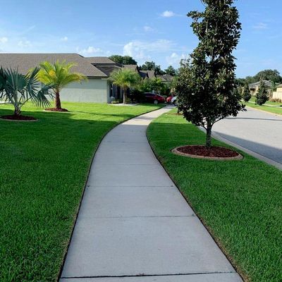 Hedge T Services In Columbia Sc, Landscaping Services In Columbia Sc