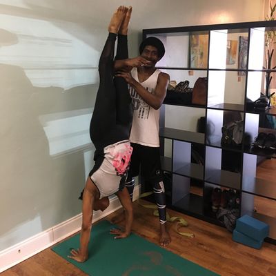 Avatar for Handstands & Arm Balances with Yogi Bear