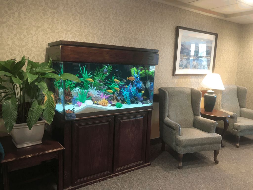90 gal Freshwater
