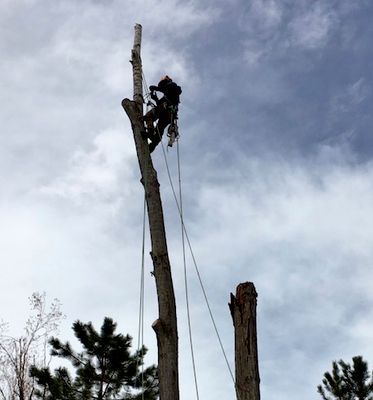 Avatar for Front Range Forestry Services, LLC