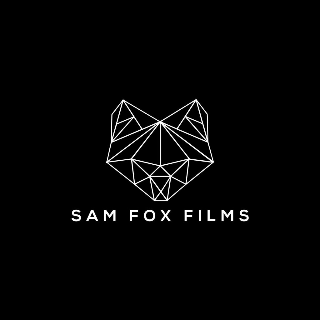 Sam Fox Films