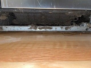 Uncleaned Fridge Coils