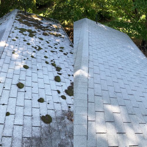 Roof Cleaning