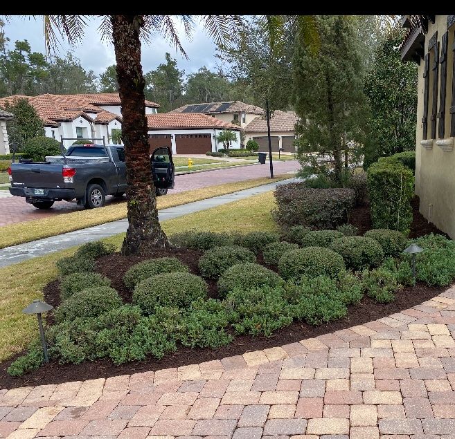 Customer photos
