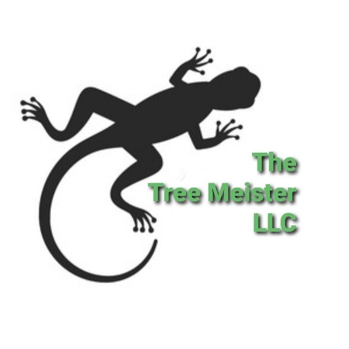 The Tree Meister LLC