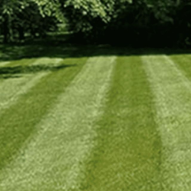 Allstar Lawns llc