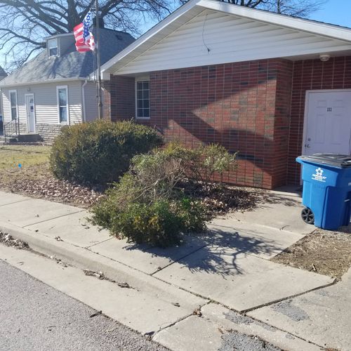 removing bushes and leaves  maryville il