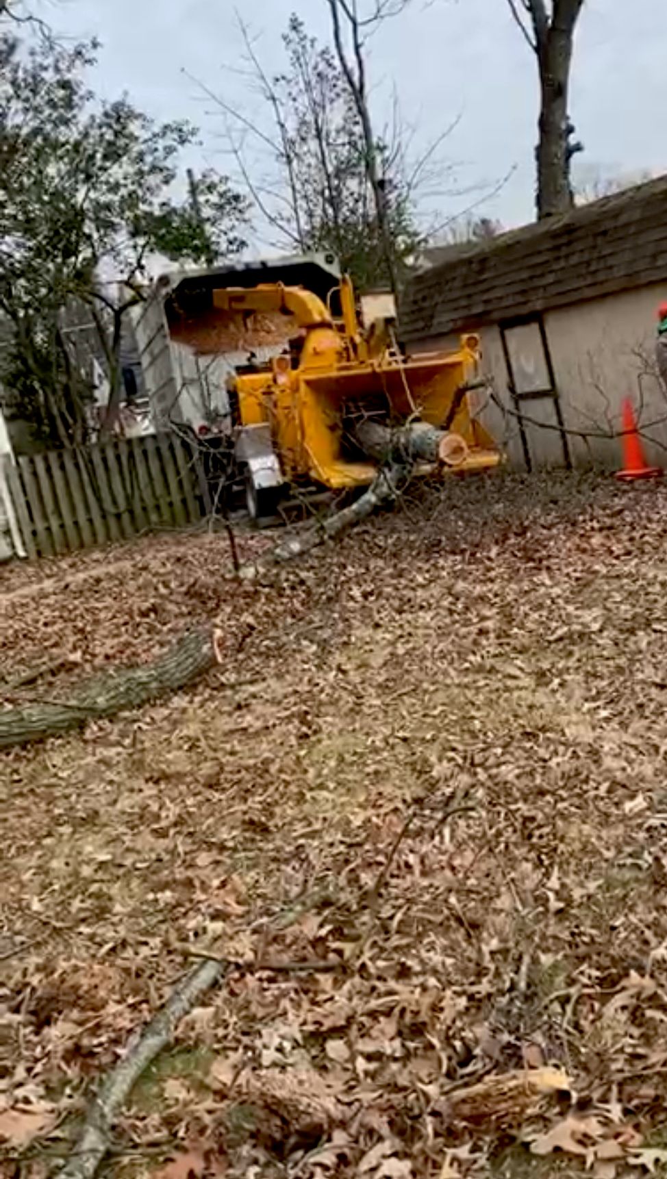 Tree Trimming and Removal