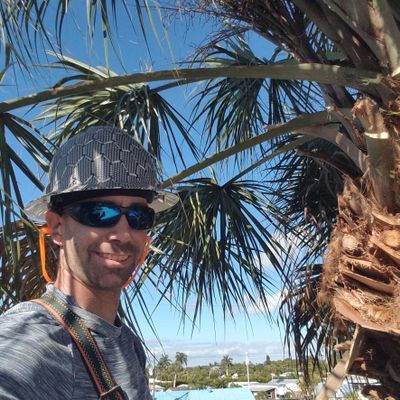 Avatar for Pirma Landscaping LLC
