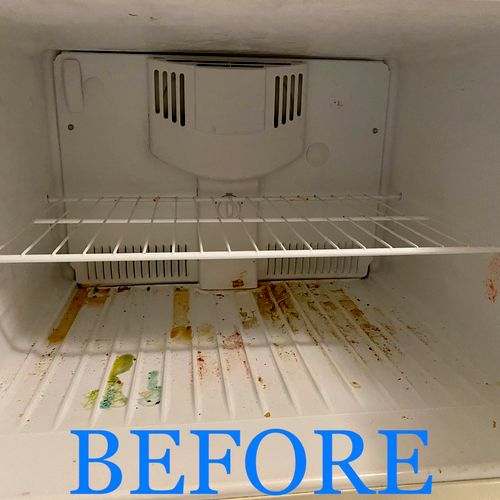 Freezer Deep Clean— before 
