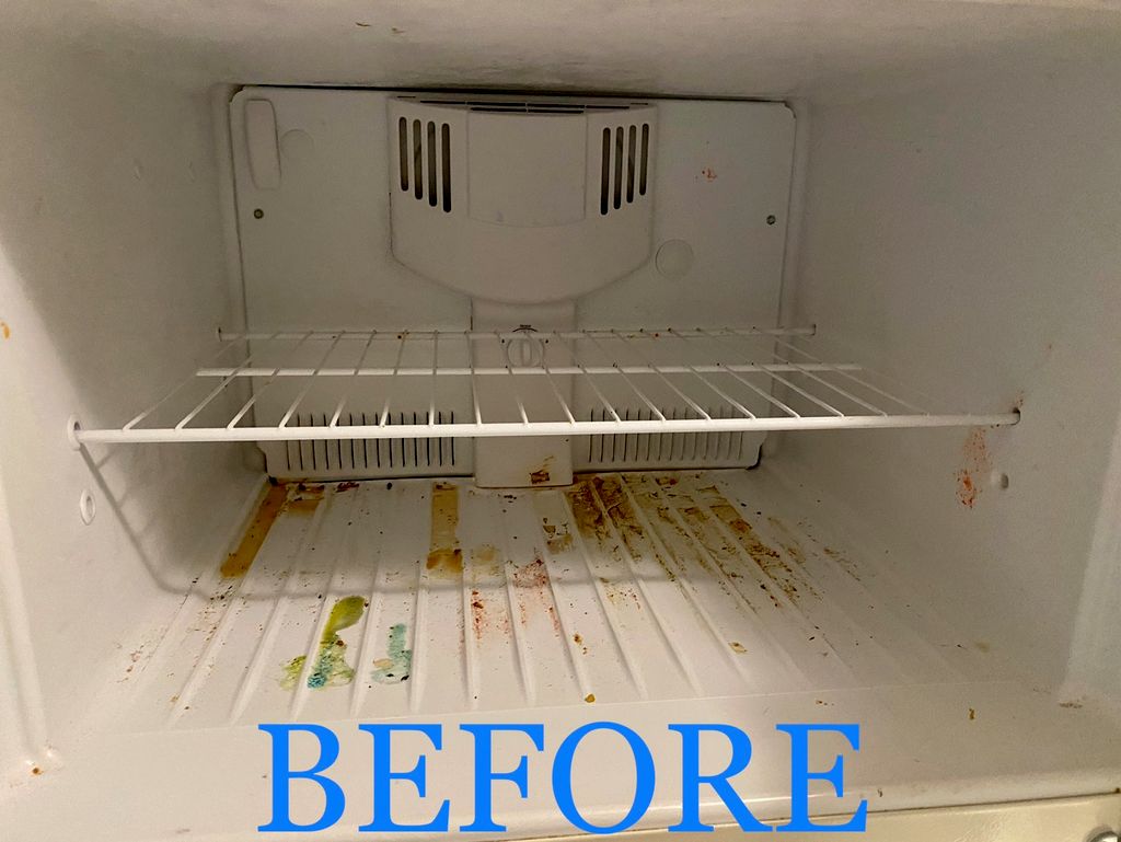 Freezer Deep Clean— before 