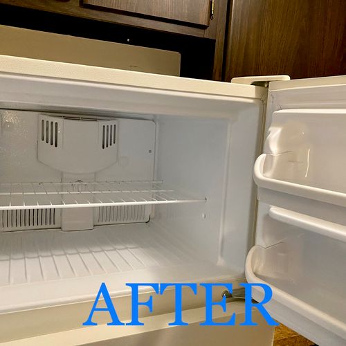 Freezer Deep Clean — After