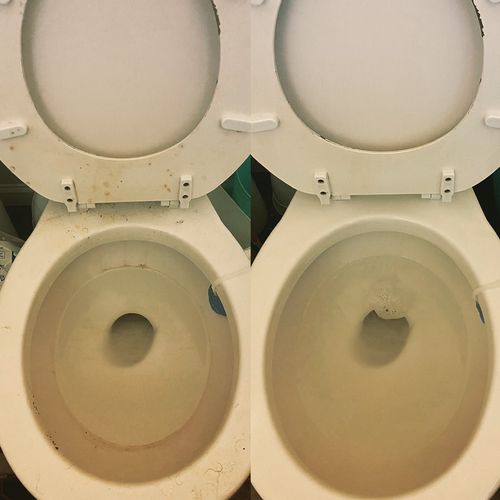 Hate cleaning the toilet? Let us do the dirty work