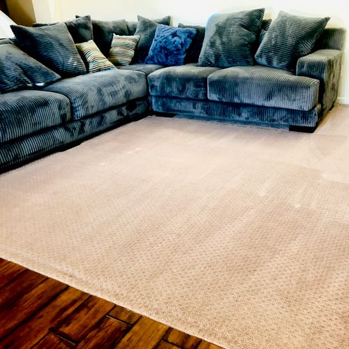 Theater Room Carpet Cleaning