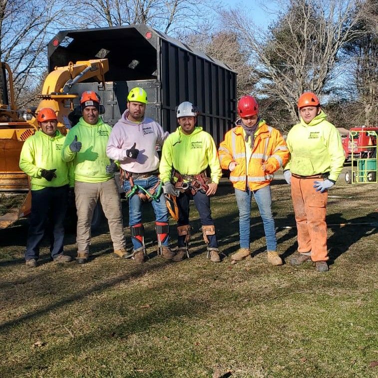 Abraham Tree Service