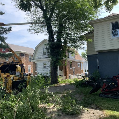 Tree Trimming and Removal