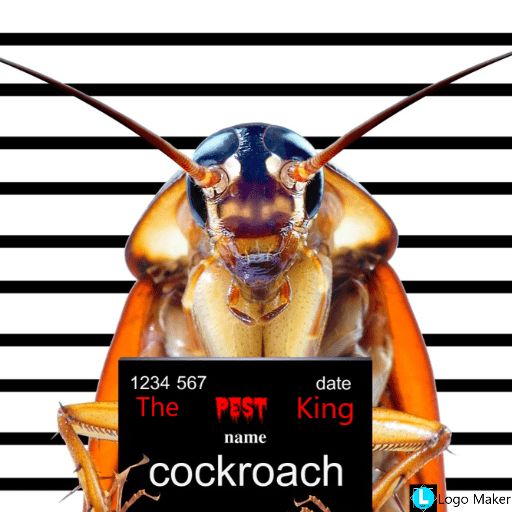 The Pest King