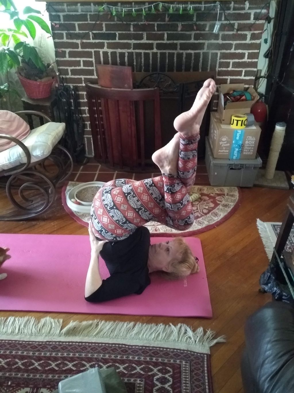 Combination Sarvangasana (shoulder stand) and Garu