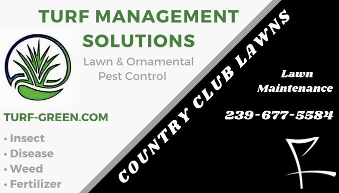 Turf Management Solutions