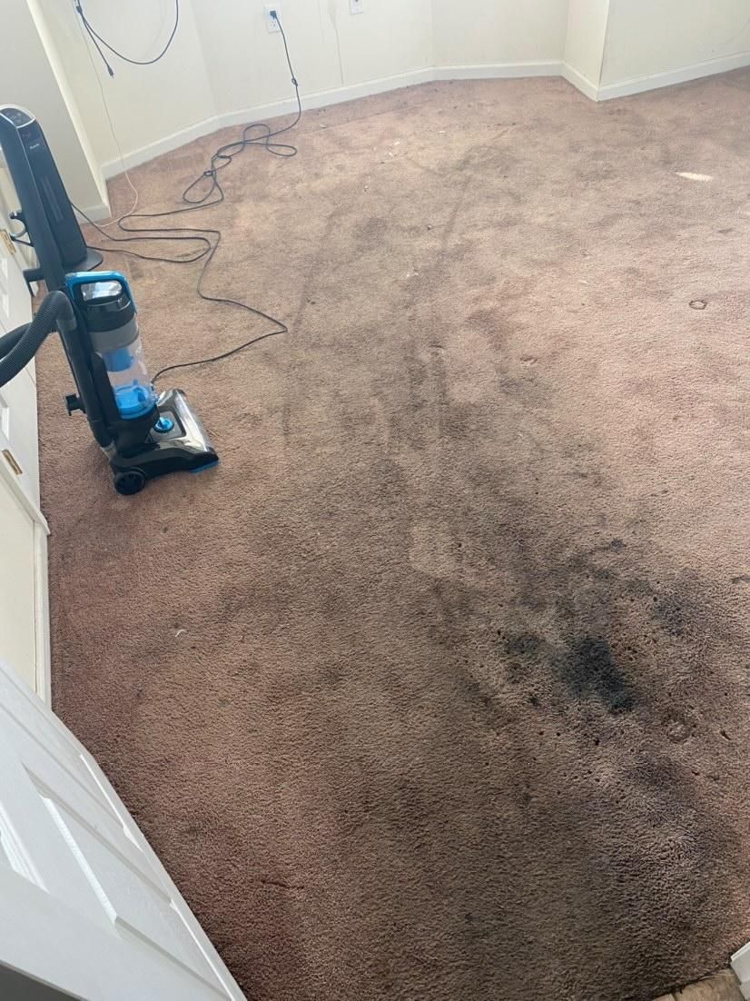 before Ultra Clean We Scream Cleaning Services >sw