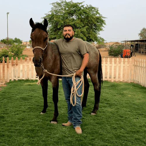 A+ irrigation & more