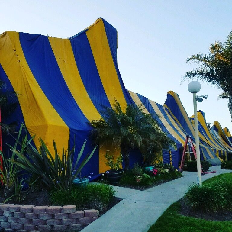 5-year Fumigation Warranty 