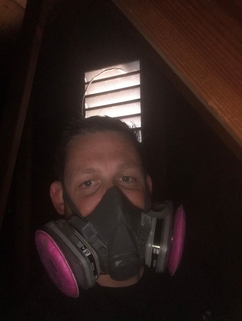 Crawling an attic looking for termites